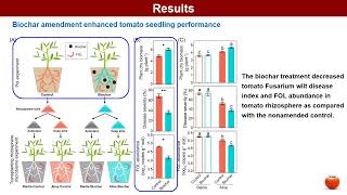 iMeta: Biochar Stimulates Tomato Recruit a Bacterial Assemblage Contributing to Disease Resistance