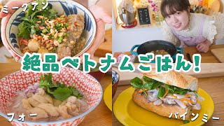 【妄想グルメ旅〜ベトナム🇻🇳〜】パクチー好きにはたまらない！おうちでエスニック料理三昧！