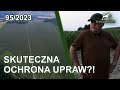 SUDECKA OSTOJA 95/2023 Skuteczna ochrona upraw?! Test największego płochacza. Cz. 2