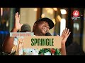 Amapiano | Groove Cartel Presents Springle