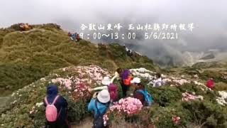 合歡山東峰 「玉山杜鵑」即時影況  9:00~13:00 5/6/2021