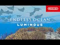 Endless Ocean Luminous – Les sons de l'océan (Nintendo Switch)