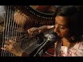 Sheela Bringi Raga Harp Video - 