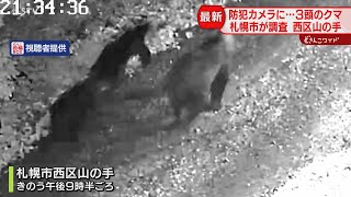 防犯カメラに3頭のクマ　調査中にも「ガサガサっと音が…」　フキを食べた跡も　札幌市西区