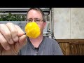 Scotch Bonnet Yellow pod test - 2017 pod review #19