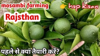 Mausami ki kheti मोसंबी की खेती कैसे करें।#Kisan #मौसमी_की_खेती #पहले से क्या तैयारी करें #mausami