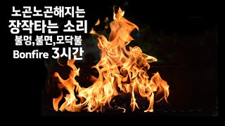 3hours 🥱노곤노곤해지는 장작타는 소리 Asmr, 불멍,불면, 모닥불, bonfire🔥