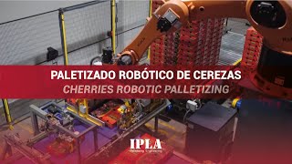 IPLA| Paletizado robótico de cerezas