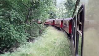 Harzer Schmalspurbahn 2023 / Die Harzquer - und Brockenbahn (29.06.2023)