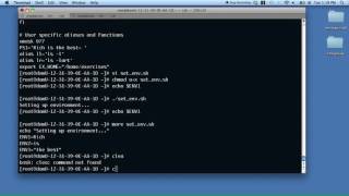 Setting variables with a script and $IFS