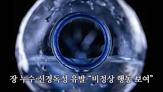 생수 속 미세플라스틱, 뇌에도 쌓인다… \