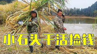 3兄弟進山割草餵牛，小石頭撿了5塊錢，螃爺直接“撿了”20萬【石頭秀】