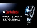 | CantaTube | ( What's your destiny) DRAGON BALL - karaoke