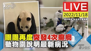 【團團再度突發4次癲癇 動物園說明最新病況LIVE】