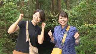 なかなか日本！～高速道路女子旅～　#71　溶岩が生んだ氷の洞窟 富士山麓 鳴沢氷穴