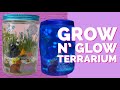 🌿Grow N’ Glow Terrarium Kit for Kids | fun and easy kid crafts 🌈✨