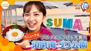 グルメ＆テラスが充実！6年ぶりにリニューアルした神戸・須磨海づり公園の魅力を徹底リポート【す・またん！】