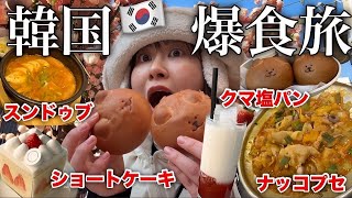 【韓国爆食ツアー】真冬の韓国で食べ歩きしまくったら今日も最高に楽しかった！イェイ！