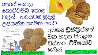 කොස්කොල කොට්ටම්බ කොල  වලින් මුදල් උපයන්න කැමති අයට  ඩ්‍රිස්ක්‍රිප්ශන් එක බලල හදාගන්න අවශ්‍ය උපදෙස්