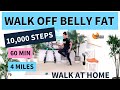 60 min WALKING WORKOUT 10 000 STEPS / 4 MILES Barlates WALK OFF BELLY FAT 10000 Step Walk and Talk!