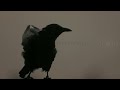 Deep Progressive Techno #26