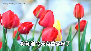 卢台长精彩开示节选【人间情缘一场空，行缘莫将业因种】