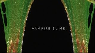 Vampire Slime