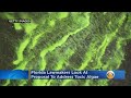 Florida Lawmakers Look At Proposal To Address Toxic Algae