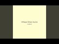Whisper Silver Aurora