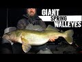 Night Fishing For GIANT Spring Walleyes!