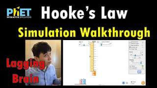 Hooke's Law Simulation Walkthrough | PhET Virtual Lab Explained