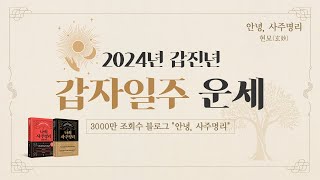 2024년 갑진년 갑자일주 운세