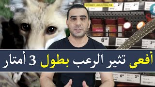 مشهد مخيف أفعى بطول 3 امتار تظهر فجأة بين رفوف احد المتاجر