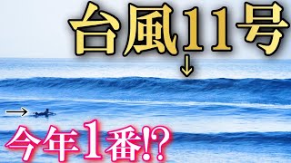 【台風スウェル】平砂浦で女子サーファーが魅せまくる！【ミッドレングス】