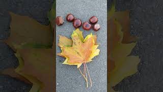 Guten Morgen, bereit für herbstliche Bastelideen mit Kastanien und Blättern? #herbstdeko #diy #video