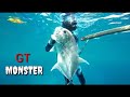 GIANT TREVALLY AND GROUPER FISH SPEARFISHING WAKATOBI