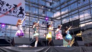 いぬねこ。青春真っ盛り - わーすた at 関ヶ原アイドルウォーズ2015