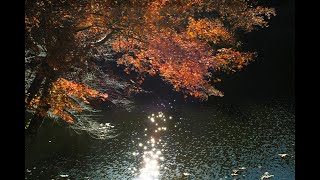 紅葉 鎌北湖 山歩きはおまけ