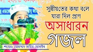 অসাধারন গজল, সুন্নীয়তের কথা বলে যারা দিল প্রাণ | শায়েরঃ মোহাম্মদ তামিম হোসাইন | Mridha HD Media