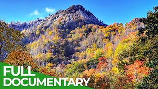 Great Smoky Mountains - A Fairytale World from Once Upon A Time | Free Documentary Nature