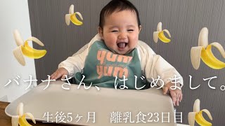 【生後5ヶ月】初めてバナナを食べた日！えっと…期待してた反応と違いますけど…？【離乳食】