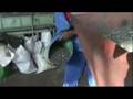Zimbabwe's economic instability - 28 June 07