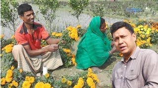 ফুল চাষ / ফুলের  চারা বিক্রি করে | মাসে ১ লক্ষ টাকা লাভ | আপনিও হতে পারেন হতে পারেন সবলম্ভী |