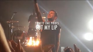 Cut my lip - Twenty One Pilots (lyrics)