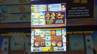 BEE FREZENCY 🐝 £2 stake 10 free spin #ukgambling #slot #casinogame #tamil #londontamil #slotmachine