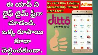 How to install ditto tv free||ditto tv channel app lifetime subscription freeee...