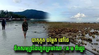 បាតុភូត ចម្លែក នៅថៃ ទឹកសមុទ្ររីងហួតប្រមាណ 2គ.ម ពីឆ្នេរ