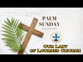 Palm Sunday Mass - March 24, 2024 - Msgr. Jim Lisante, Pastor, Our Lady of Lourdes Church.