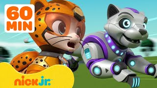 PAW Patrol & Cat Pack vs. Robot Cat Meow-Meow w/ Chase & Robo-Dog | 1 Hour Compilation | Nick Jr.