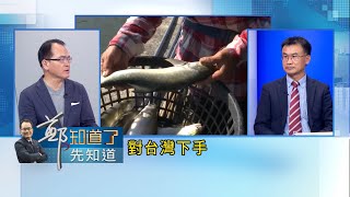 中國按捺不住急著插手2024? 台灣食品接連遭禁 陳吉仲火線發聲! 向中國喊話:要就打我陳吉仲 別打台灣農漁產品!｜鄭弘儀主持｜【鄭知道了。先知道】20221212｜三立iNEWS